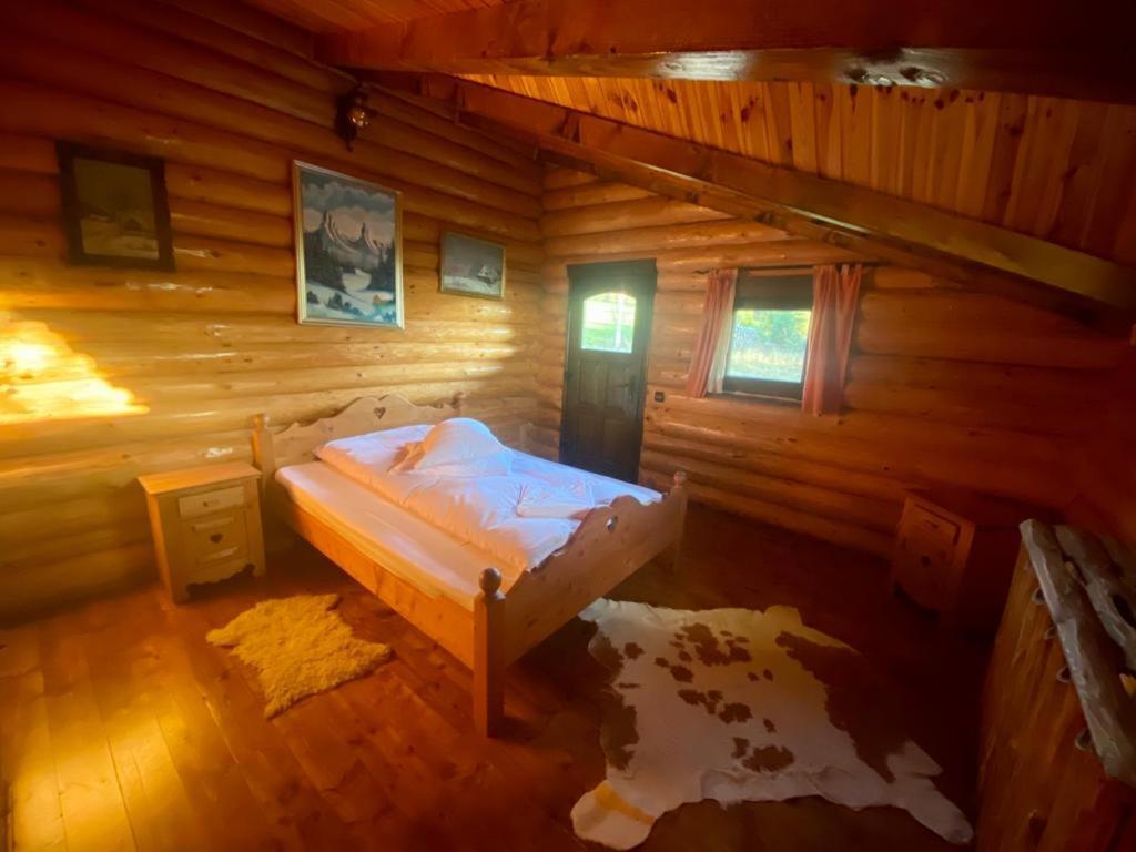 Cabana Vanatorului Rîşnov Exteriér fotografie