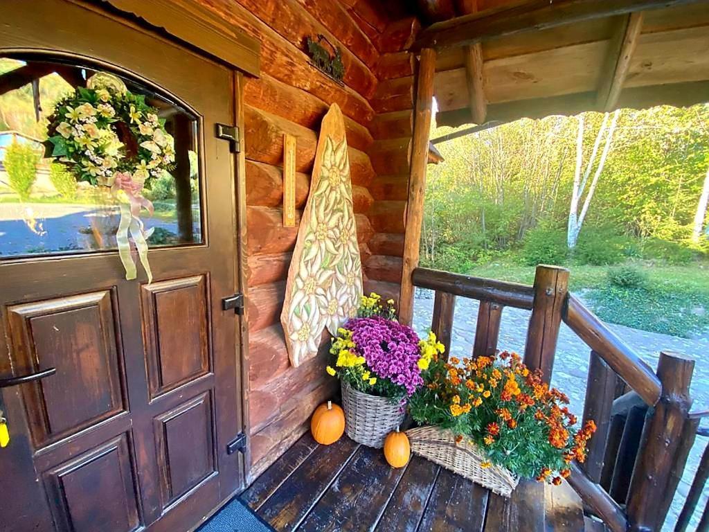 Cabana Vanatorului Rîşnov Exteriér fotografie