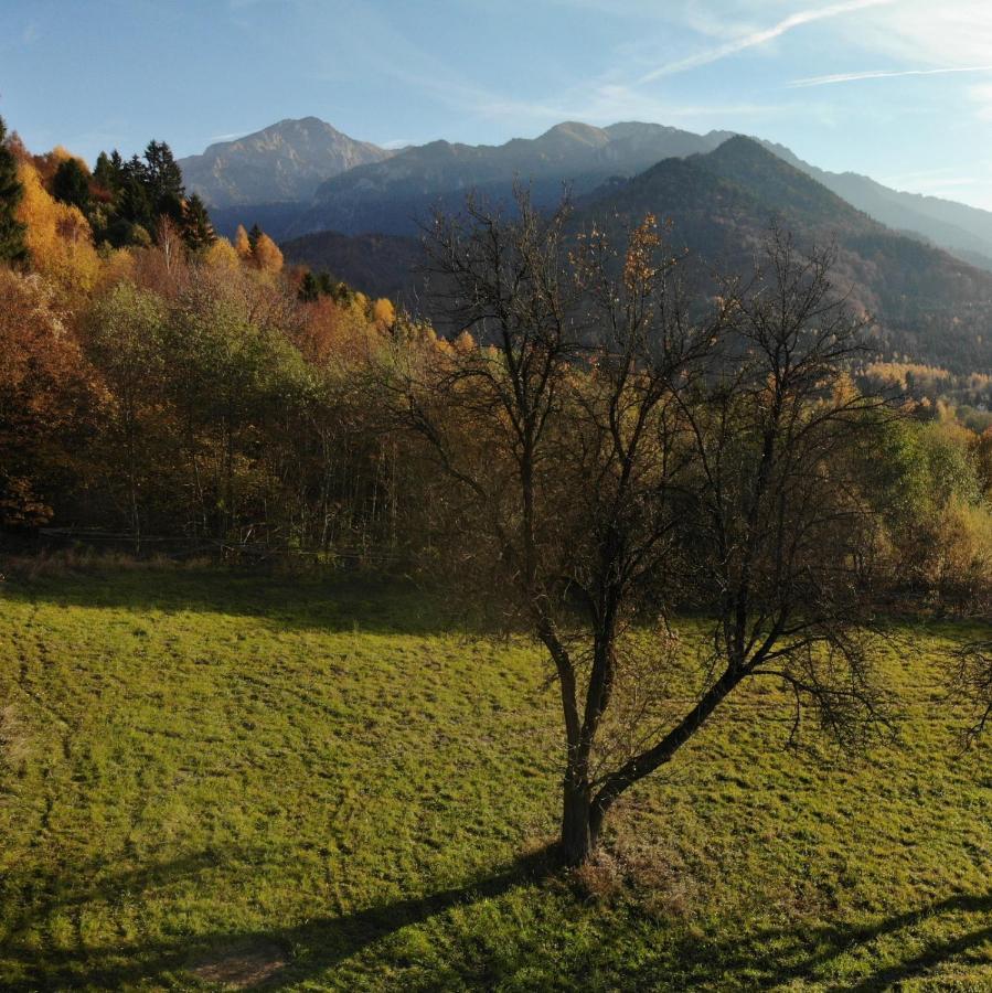 Cabana Vanatorului Rîşnov Exteriér fotografie