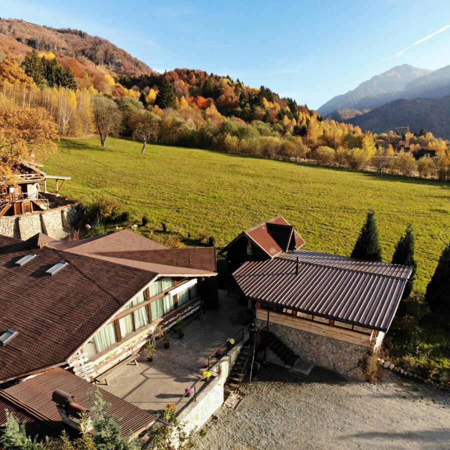 Cabana Vanatorului Rîşnov Exteriér fotografie