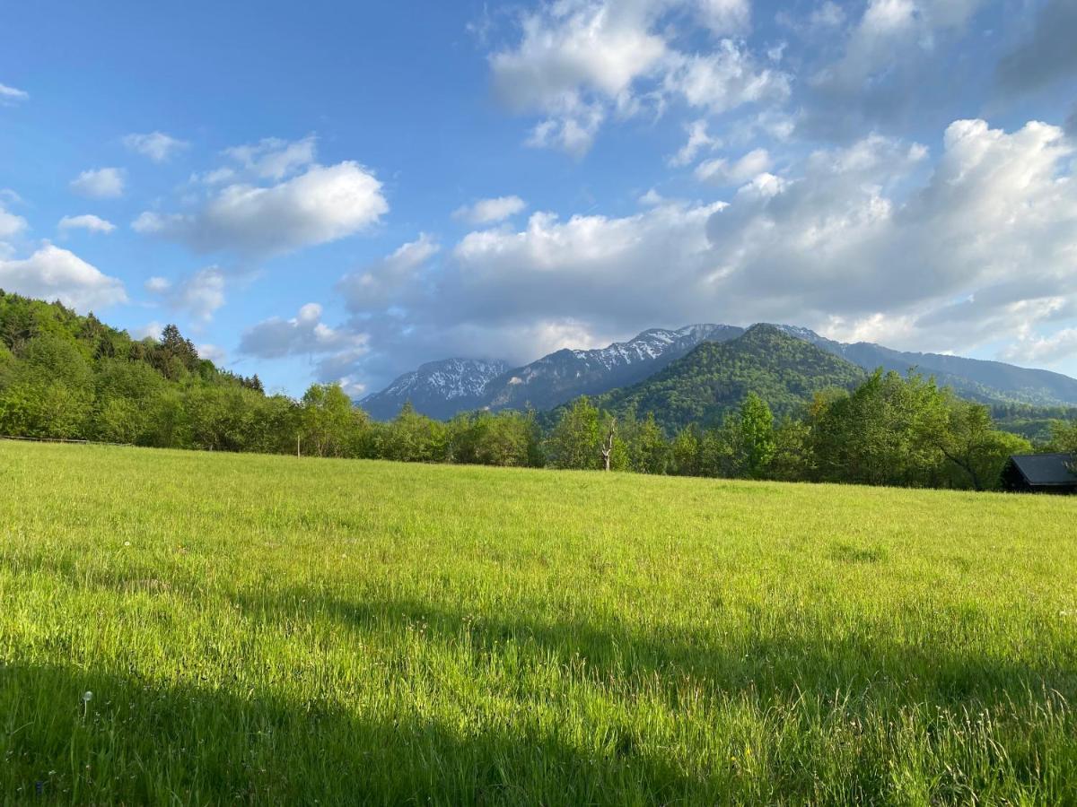 Cabana Vanatorului Rîşnov Exteriér fotografie
