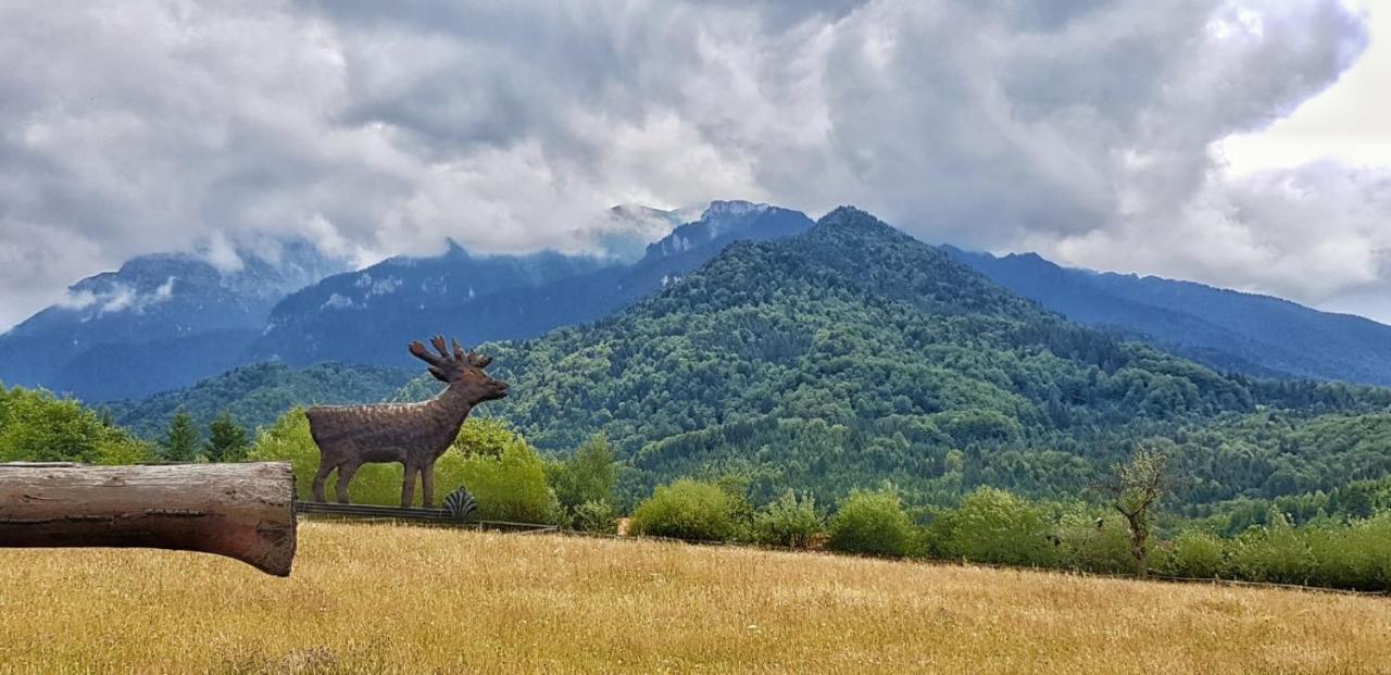 Cabana Vanatorului Rîşnov Exteriér fotografie
