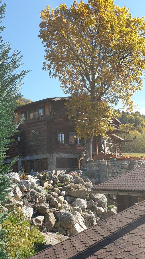 Cabana Vanatorului Rîşnov Exteriér fotografie